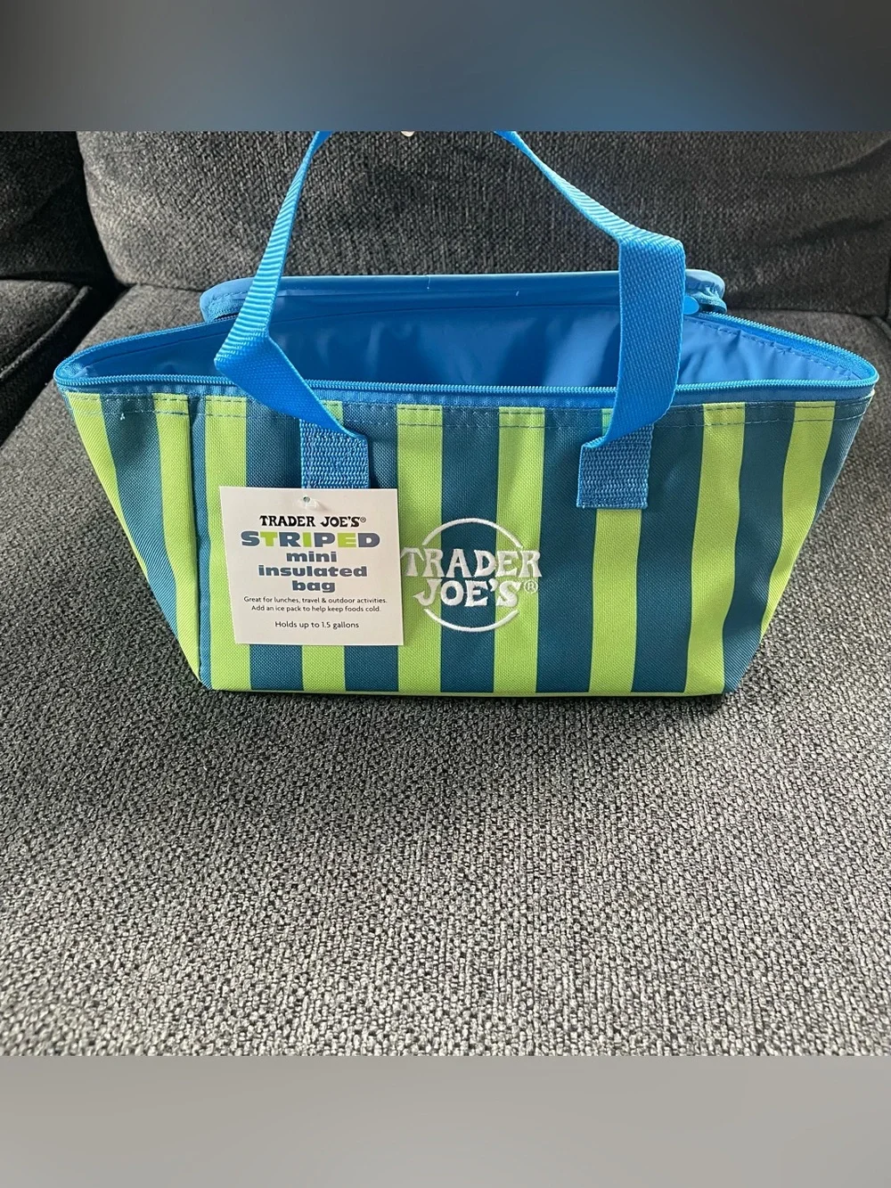Trader Joe's Striped Mini Insulated Bag - Blue & Lime Green